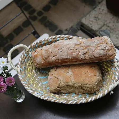 Apartman Kolovrathome